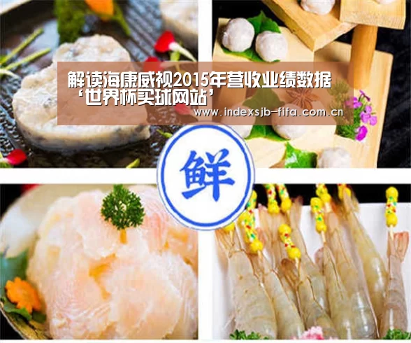 解读海康威视2015年营收业绩数据‘世界杯买球网站’(图4) 世界杯买球