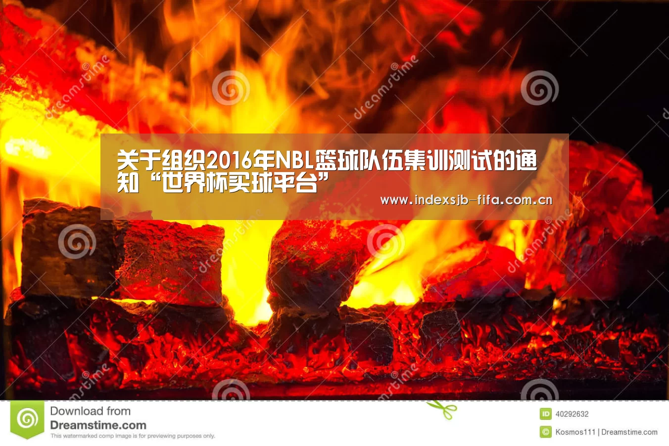 关于组织2016年NBL篮球队伍集训测试的通知“世界杯买球平台”(图2) 世界杯买球