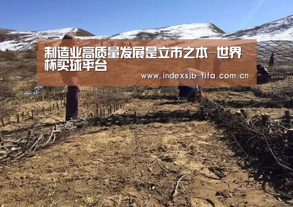 制造业高质量发展是立市之本-世界杯买球平台