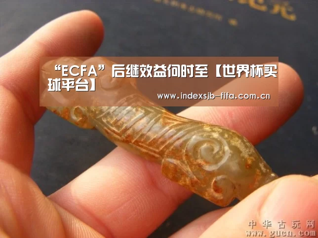 “ECFA”后继效益何时至【世界杯买球平台】(图2) 世界杯买球网站